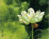 Diy oil painting, paint by number kit- Quiet Lotus 16 * 20 inch.