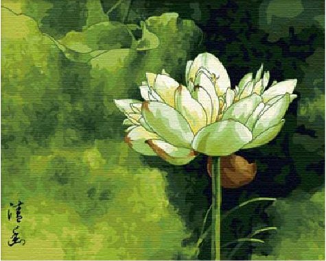 Diy Oil Painting, Paint By Number Kit- Quiet Lotus 16 * 20 Inch. #TOP16