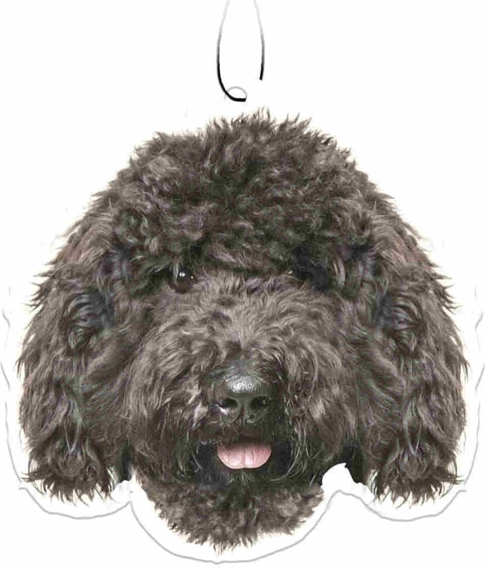 Spoontiques Black Labradoodle Air Freshener
