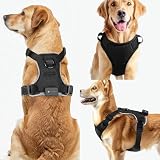 MASBRILL Hundegeschirr Leuchtend, LED Hundegeschirr Aufladbar & Einstellbar für Welpen Kleiner Mittlerer Große Hund, 7-Farben ändern 8-Beleuchtungsmodi Atmungsaktiv Leucht Geschirr (Schwarz M)