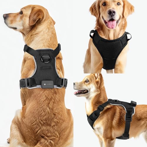 MASBRILL Hundegeschirr Leuchtend, LED Hundegeschirr Aufladbar & Einstellbar für Welpen Kleiner Mittlerer Große Hund, 7-Farben ändern 8-Beleuchtungsmodi Atmungsaktiv Leucht Geschirr (Schwarz M)