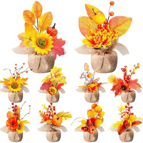 Décoration d'automne rustique pour table de Thanksgiving Giegxin - 2