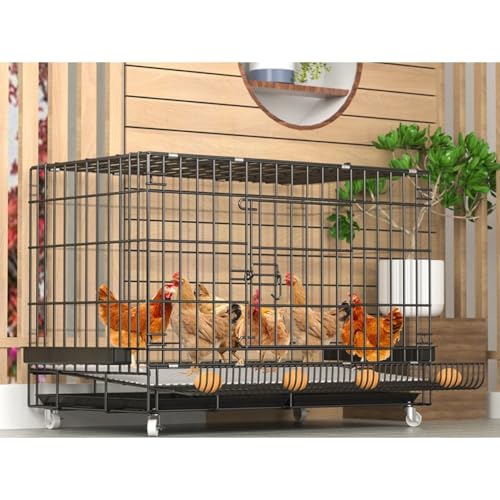 uFLYKINGv{p^ybgP[W { 1-15{̂߂̃gCƗgCt { AEghAƒp (60*42*50/70*50*60/85*60*70/100*60*70/120*50*65/130*60*70/150*60*70cm