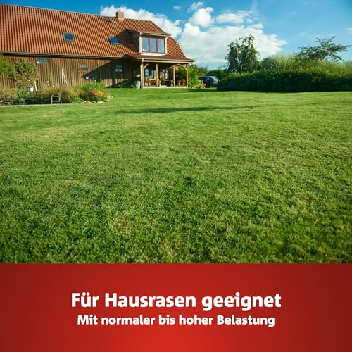 WOLF-Garten Sport- & Spielrasen LG 125 (für 125 m², schnell nutzbar & trittfest, strapazierfähiger Rasen für Sport- & Spielplätze, Hausgarten, für alle Bodenarten geeignet, im 2,5 kg Beutel) 3825020
