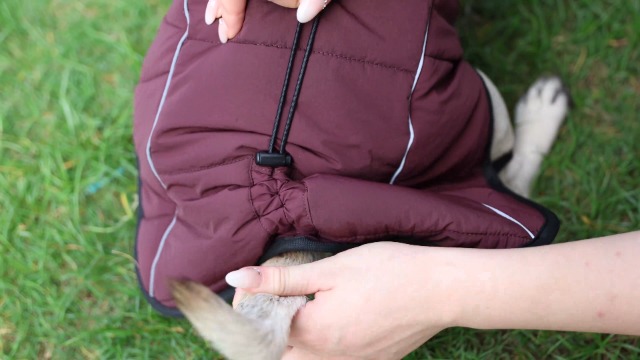 HEYWEAN Veste Imperméable Pour Chien - Réfléchissante - Avec Doublure En Polaire Douce - Pour Intérieur Et Extérieur, Camping, Randonnée