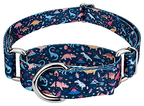 Country Brook Petz - Dinosaurs Martingale Dog Collar - Animal Collection with 12 Wild Designs (1 Inch, Medium)