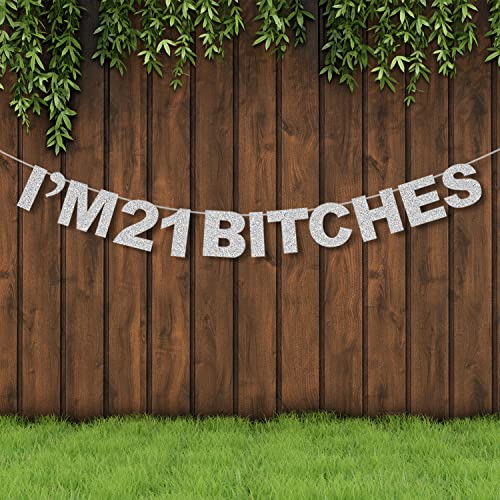 Lingteer I'm 21 Birthday Funny Silver Glitter Bunting Banner - Cheers To 21 Years Old 21St Birthday Party Photo Backdrop Decorations.[Pre-Strung] #TOP6