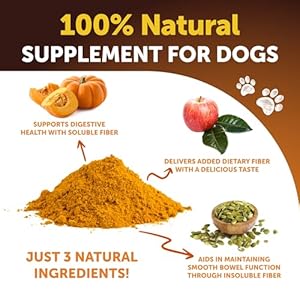 Pumpkin for Dogs – Pumpkin Powder for Dogs Digestive Support – Natural Fiber for Dogs – Healthy Stool – Mix with Water to Create Delicious Pumpkin Puree – Canned Pumpkin Alternative – 16 OZ