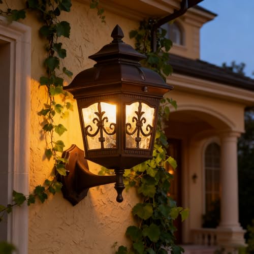 XINYASEE Applique da esterno in ferro battuto nero, adatta per veranda, impermeabile, ideale per la decorazione di casa, giardino e patio, lampadina Edison E27(BD-006)