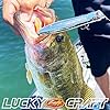 LUCKY CRAFT Gunfish 117 Freshwater Fishing Lures, Top Water Fishing Gear for Trout and Bass Fish, Spooks Cupped Mouth Walker, Long Casting Treble Hooks, 250 Chartreuse Shad #5
