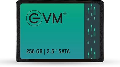 EVM 256GB 2.5-Inch SATA Internal SSD - 550MB/s Read & 500MB/s Write - 5-Year Warranty (EVM25/256GB)