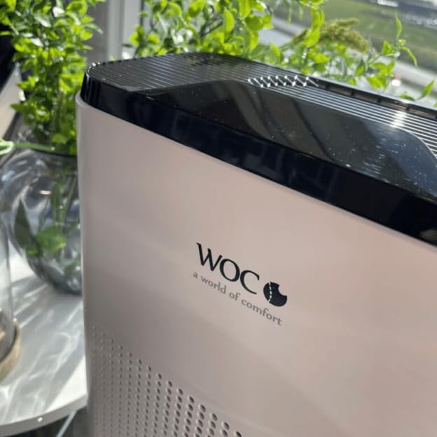 WOC Air Cleaner Hava Temizleyici