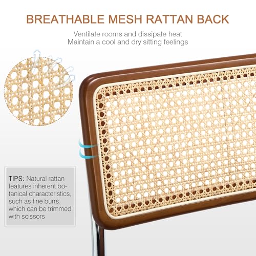 Image of Zesthouse Rattan Dining Chairs Set of 2, Mid Century Modern Dining Room Chairs with Natural Cane Mesh & Chrome Base, Brown Cesca Chair for Kitchen, Breuer Design Inspired, Upholstered Chenille Fabric
