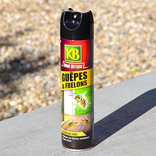 KB HOME DEFENSE HOME DEF.GUEPES FRELONS 400ML /NC Cover