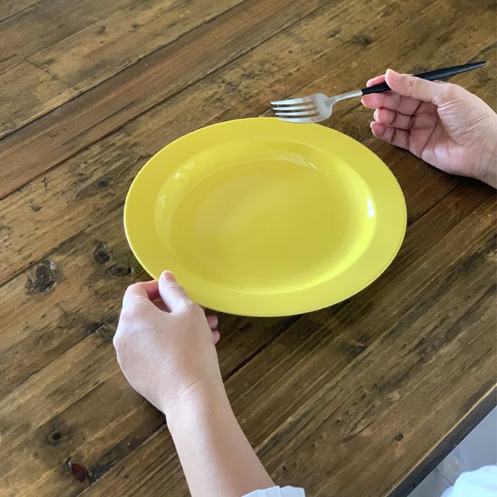 リムプレート 24センチ 4枚セット Amazon | ライフスタイルアイランド