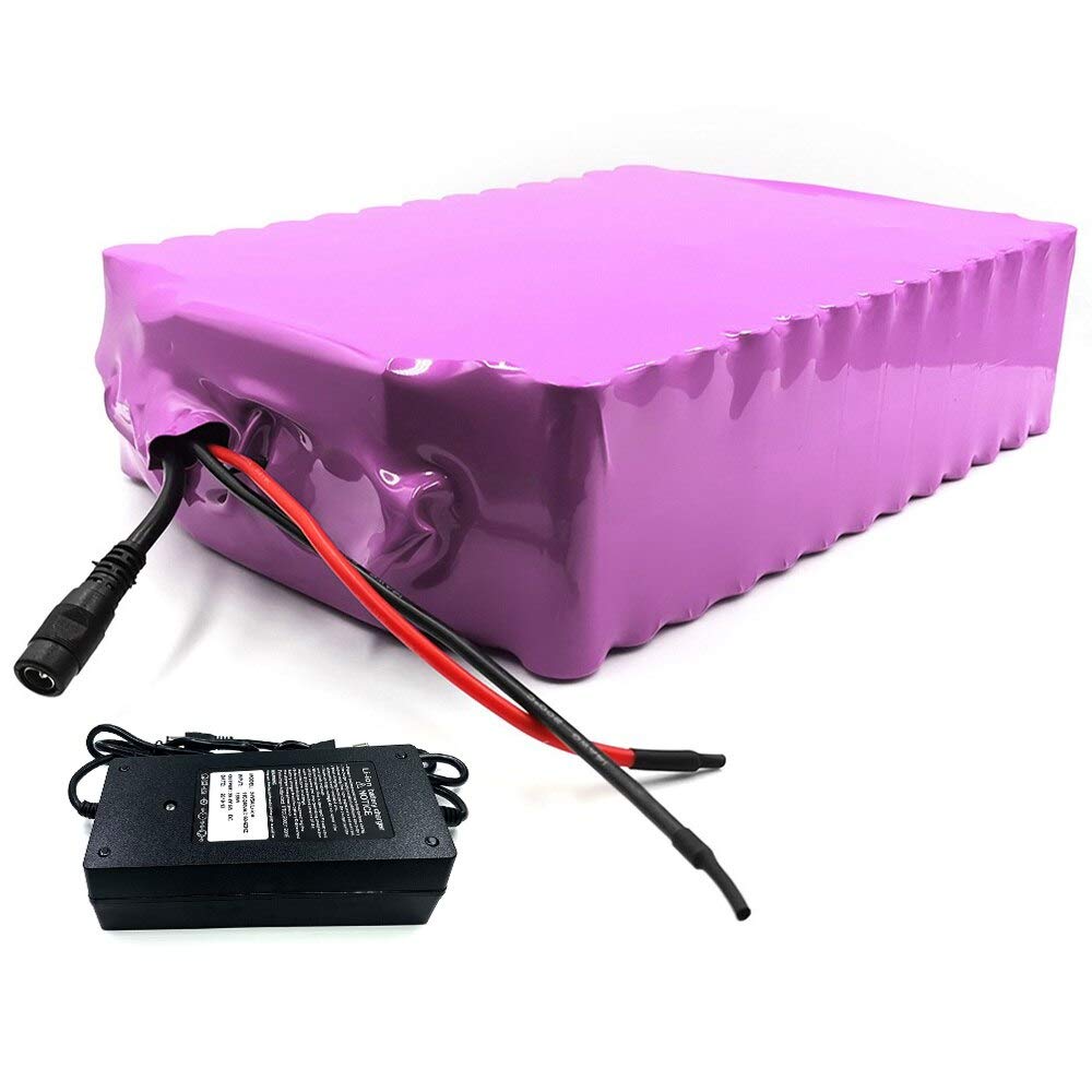 With 5A charger 63Ah 7S18P 24V battery e-bike ebike electric bicycle Li-ion customizable 255x190x70mm