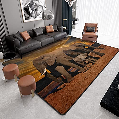 9CH African Elephant Sunset Area Rug, Non-Slip African Rugs for Living Room Bedroom Dinning Kitchen Office Large Carpet Rug 7'X5'
