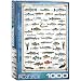 EuroGraphics Freshwater Fish 1000-Piece Puzzle