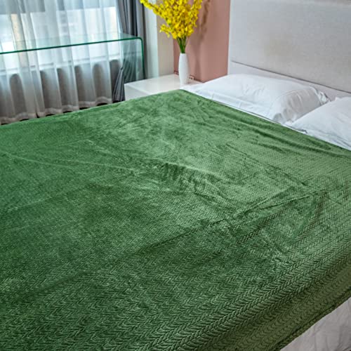 Devirld Fleece Blanket Soft Throw Blanket Fluffy Blankets Warm Plush Cozy Throws For Couch Sofa Bed, Matcha Green, Throw(50"X60") #TOP5