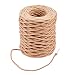PandaHall Elite 164 Feet 21 Gauge Brown Floral Bind Wire Wrap Twine 2mm Paper Covered Rustic Vine for Art Craft Flower Bouquets