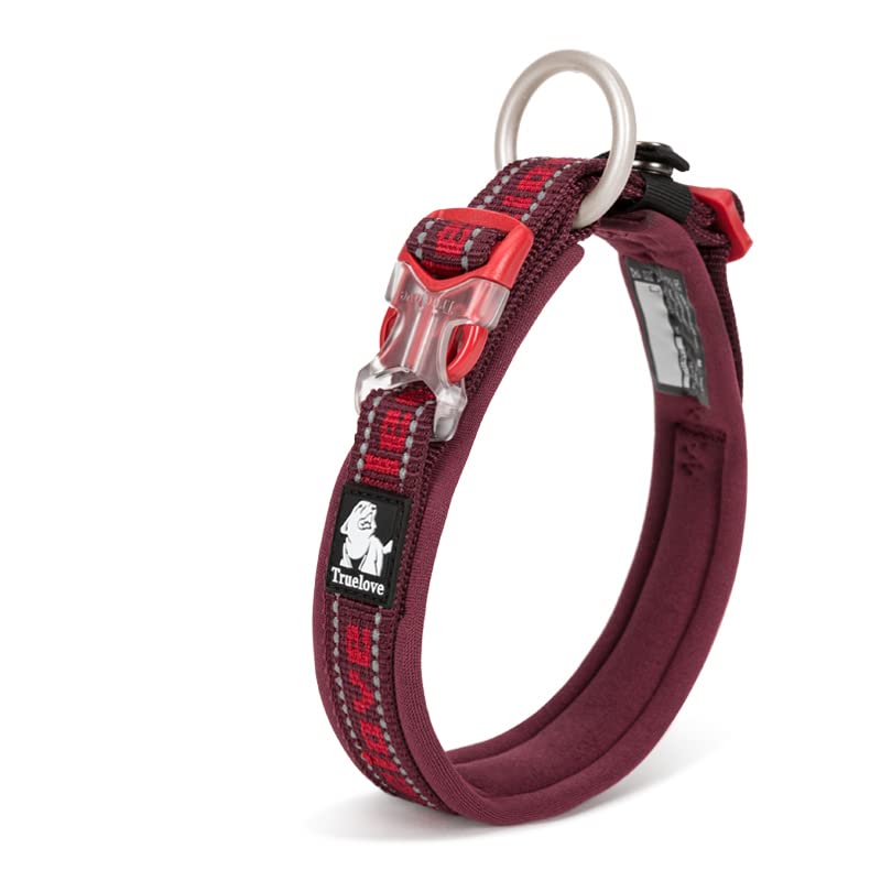 WINHYEPET True Love Reflective Dog Collar