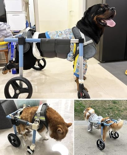Silla de ruedas para perros ajustable con soporte integral de 4 ruedas 8