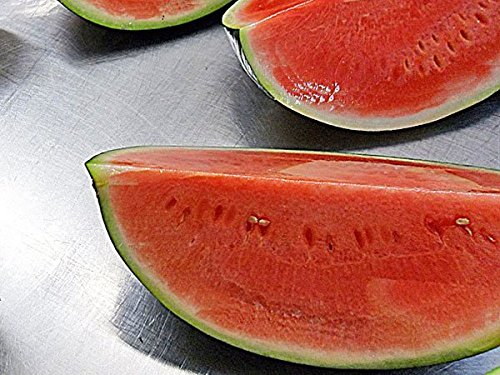Amazon.co.jp: 北海道産マダーボールすいか(秀）1.6kg×5玉【発送期間