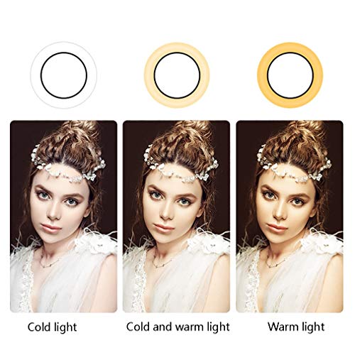 WYH Makeup Licht Doppelringlicht mit runden Standphone-Halterungen 3 Lichtmodi für Smartphone Live-Streaming-Zoom… – Bild 5