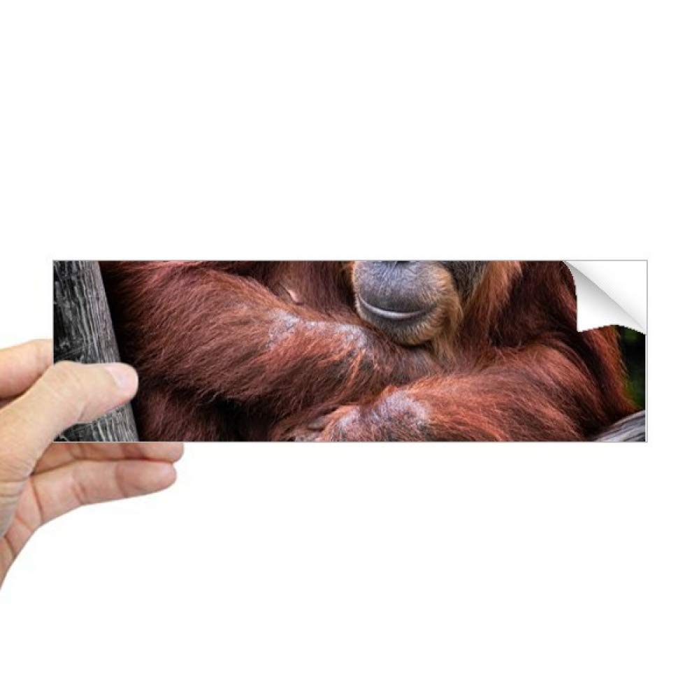 Autocollant rectangulaire pour ordinateur portable au motif organisme terrestre unique