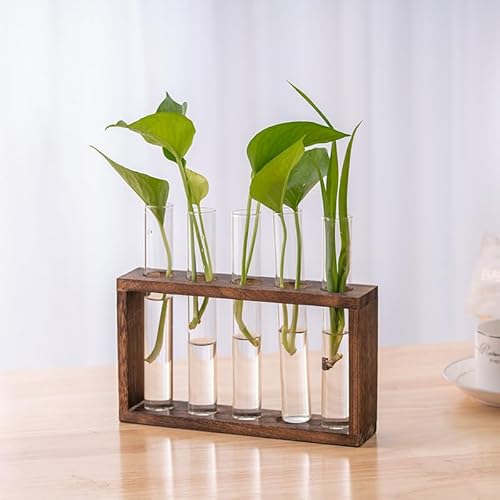 Enliansgo Desktop Plant Propagation Stations, Plant Terrarium, Propagation Vases for Plants with Wooden Stand for Indoor Hydroponics Plants for Home Garden Office Decoration - 5 Vases