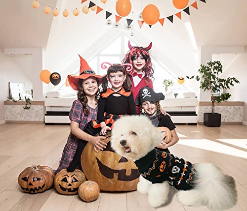 Vehomy 2Pcs Pet Halloween Sweaters Dog Halloween Pumpkin Sweater Kitten Cat Holiday Theme Turtleneck Knitwear Shirt With Pumpkin Skull Patterns Dog Puppy Halloween Costume Clothes For Small Dogs Xxl #TOP5