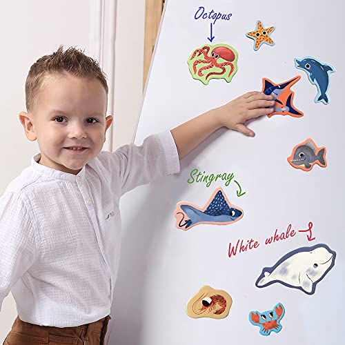 La Mejor review de Imanes infantiles listamos los 10 mejores. 3 Imagen adicional