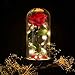 Produktbild Ruiuzi Die Schöne und Das Biest Verzaubert Rose, Eleganten Glaskuppel mit Weiches LED Leuchtet Pine Base, Romantisch Geschenke Wohnkultur für Geburtstag Valentinstag Muttertag Jahrestag