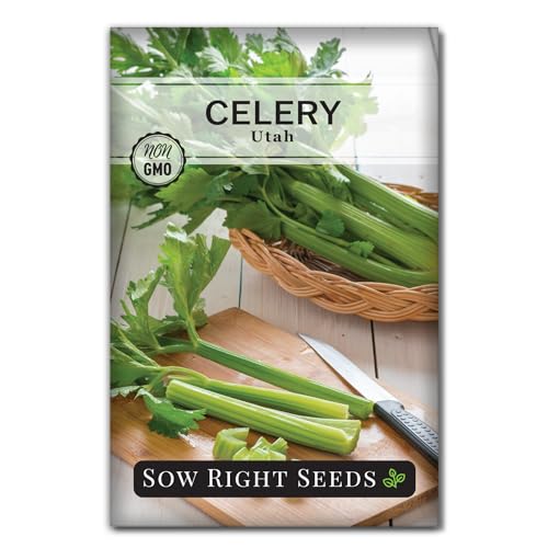 Sow Right Seeds - Tall Utah Celery Seeds for Planting
