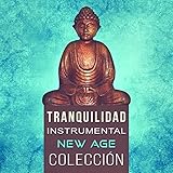  Pensamiento Positivo