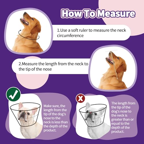 Collier de protection Kuoser violet réglable pour chien - 4