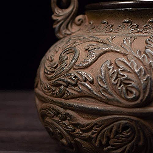 AWJ Tetera de Hierro Fundido de Estilo japonés con infusor Tetera Saludable de Hierro Tetera Grande de Hierro Fundido El… - Imagen 5