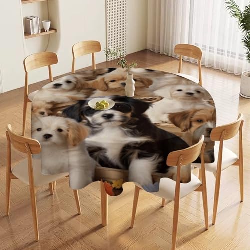Nappe ronde imprimé chiens 178x178 cm en polyester lavable - 6