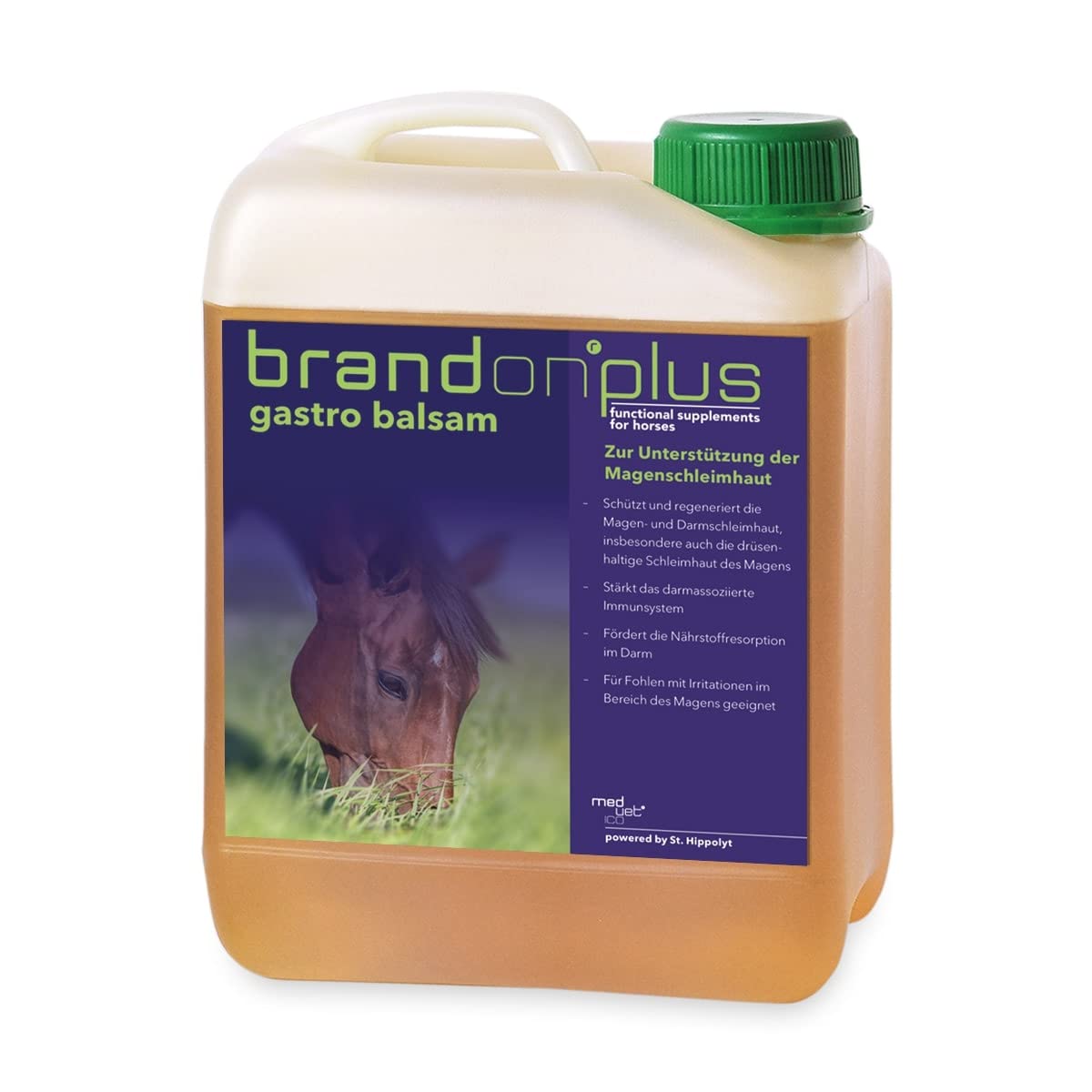 Brandon Plus GastroBalsam 2,5 L Magen-Darmschleimhaut Balsam