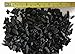 Organic Horticultural Charcoal & Terrarium Charcoal | Charcoal for Plants | Pure Hardwood Charcoal for Planting and Gardening | Organic Canadian Maple Biochar