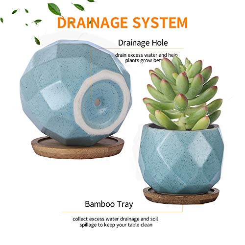 Brightdeco Ceramic Succulent Plant Pots Set Of 6 - Small Succulent Pots With Drainage Hole Mini Pots For Indoor Plants Ceramic Planter With Bamboo Saucers Home Decor Rhombic #TOP4