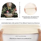 Zoom IMG-1 baikutouan simpatico koala su albero Zoom IMG-1 baikutouan simpatico koala su albero