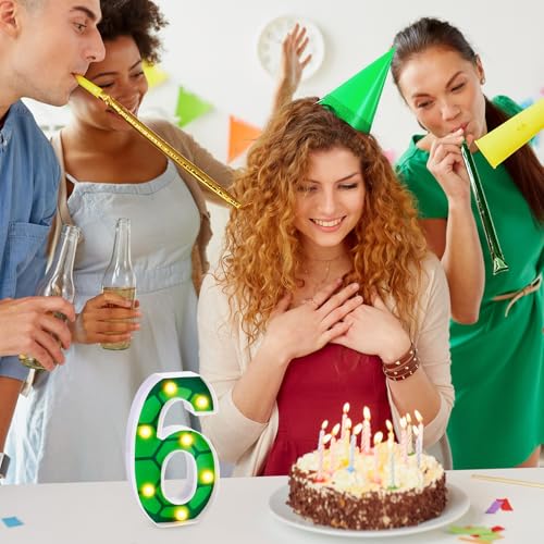 LED Number Lights Cartoon Themed Birthday Decorations LED Light Up Number Centerpieces Table Decoration for Party Supplies Backdrop Wall Decor for Birthday Party Decorations (Number 6)