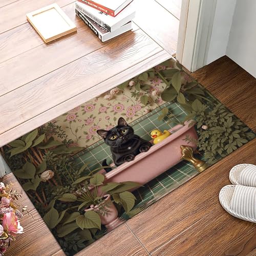 Tapis entree interieur anti-glisse paillasson grand format 90x150cm facile à laver