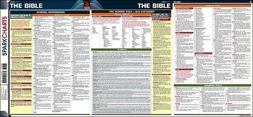 The Bible SparkCharts: SparkNotes Editors: 9781411400672: Amazon.com: Books