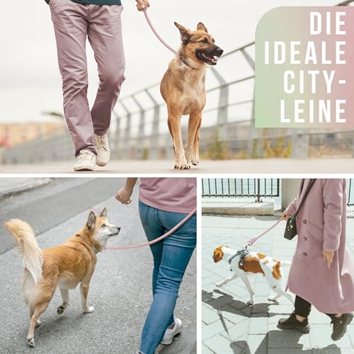 Personalisierte Hundeleine 1,2 m oder 1,7 m Länge (leicht dehnbar) extrem hochwertig verarbeitet | Tauleine für Hunde | Führleine mit Namen (Mauve, 120 cm)