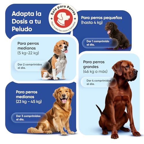 Multivitaminas y Minerales para Perros - 365 Comprimidos, 18 Vitaminas para Apoyo Inmunológico, Piel, Pelo y Articulaciones - Ideal para Todas Las Razas y Tamaños, Mayores y Cachorros - imagen 7