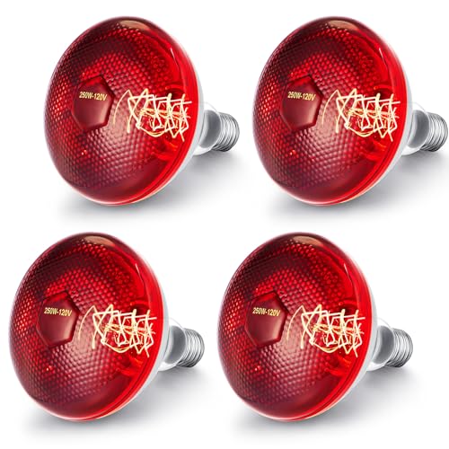 Image of VIHOSE 4 Pack Heat Lamp Bulbs, Red Infrared Bulbs 120 V, 250 Watt | Thickened Heat Lamp for Chickens, Food Service, Reptile, Pet, Bathroom, Light Therapy Use E26 Base