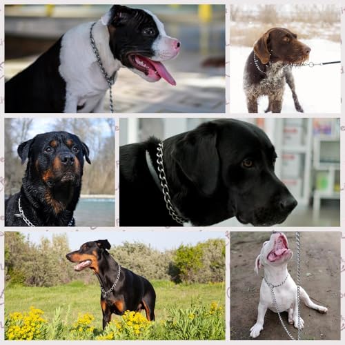 Collier de chaîne pour chien pour sécuriser vos balades avec un grand chien - 4