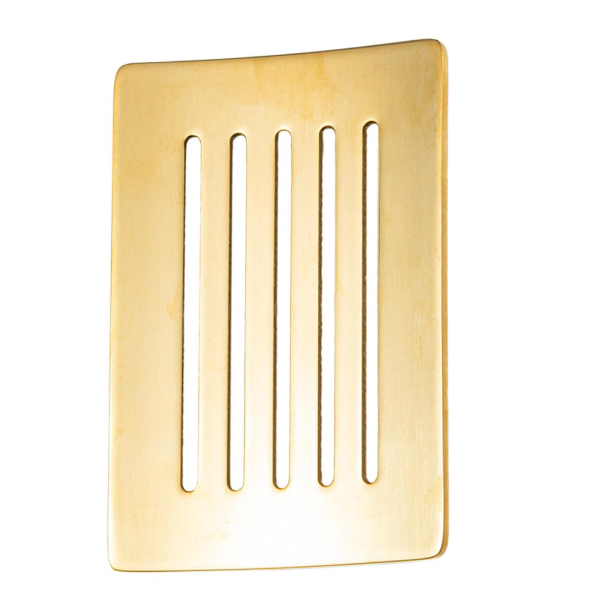 Support pratique pour savonnette résistant qui ne rouille pas en douche